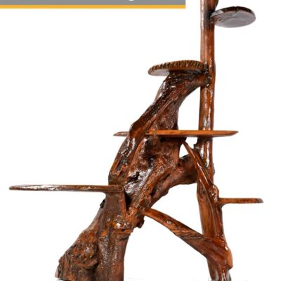 Large Sculptural Rustic Cypress Bookshelf