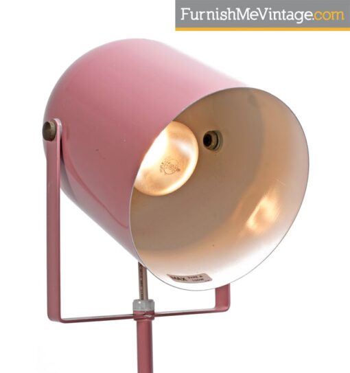 Lumiray Pink Floor Lamp