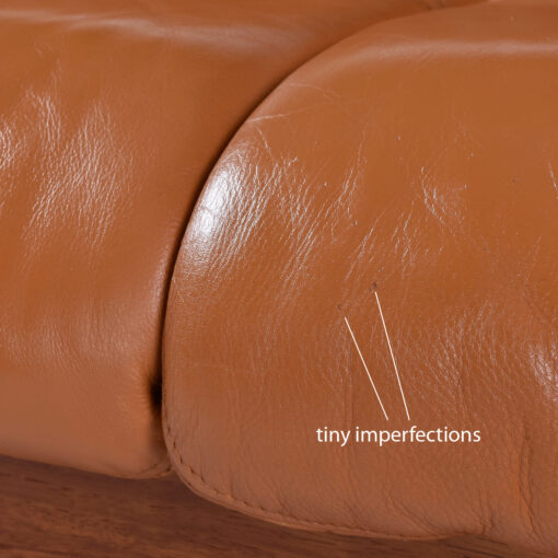 Blemishes on leather