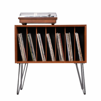 Stereo cabinet with record storage