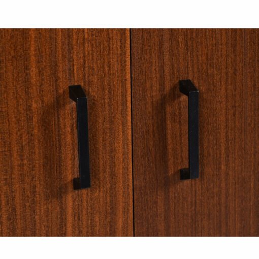 Black door handles