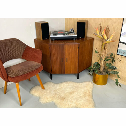 Corner record cabinet