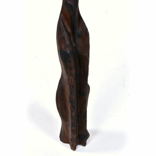 Witco Siamese cat lower body